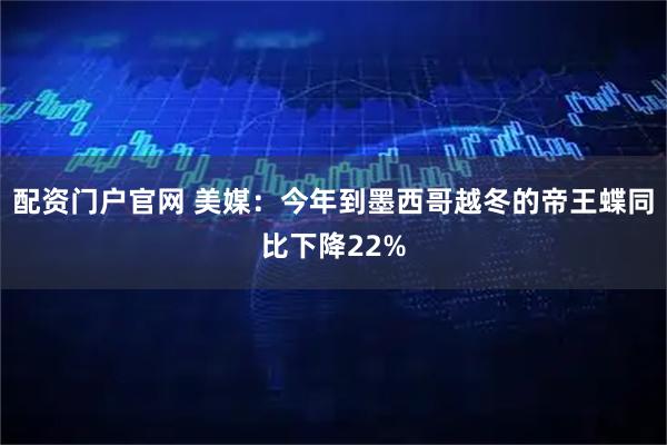 配资门户官网 美媒：今年到墨西哥越冬的帝王蝶同比下降22%