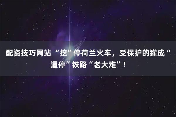 配资技巧网站 “挖”停荷兰火车，受保护的獾成“逼停”铁路“老大难”！